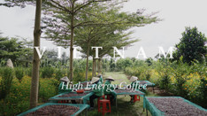 Vietnam Coffee_02