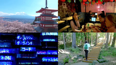 FUTUREK   ANA 観光プロモーションVR動画