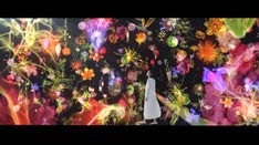 POLA -B.A CREATIVITY IN YOU-