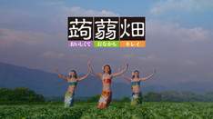 蒟蒻畑 TVCM 2025年