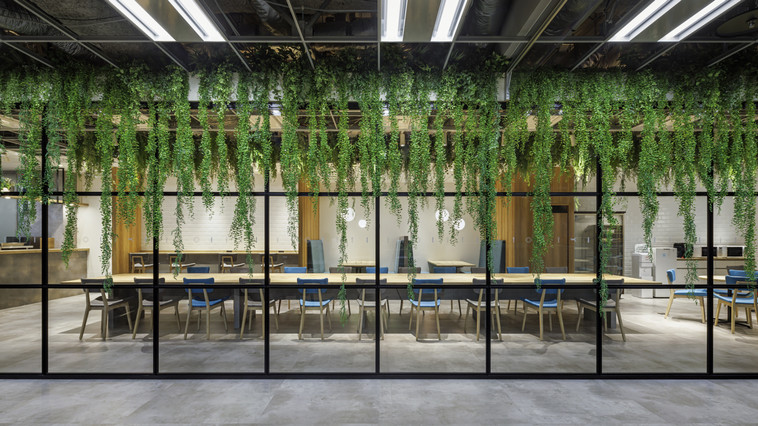 ＜国内最大級ベンチャーキャピタル_グローバル・ブレイン株式会社＞YouTube動画制作のビデオグラファー募集！