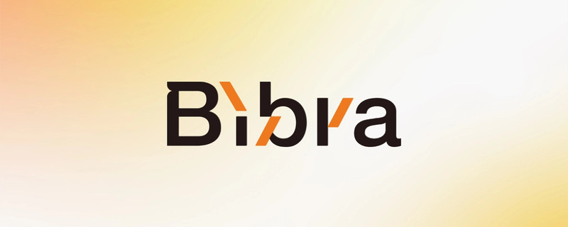 営業プロデューサー(業務委託)募集!<株式会社Bibra>
