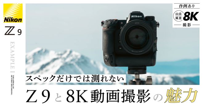 025f54da-918b-40ad-838d-