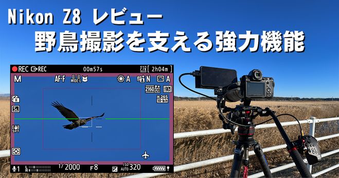 Nikon Z 8レビュー】野鳥動画撮影を支える強力機能 | Vook(ヴック)