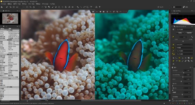 水中写真をパッと美しく高画質RAW現像ソフト「SILKYPIX Developer